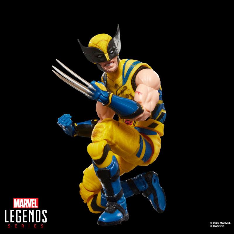 Hasbro マーベルレジェンド・シリーズ デッドプール＆ウルヴァリン