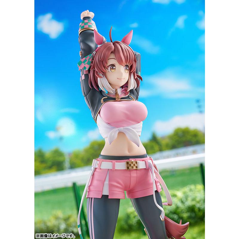 ファット・カンパニー ウマ娘 プリティーダービー ダンツフレーム 1/7