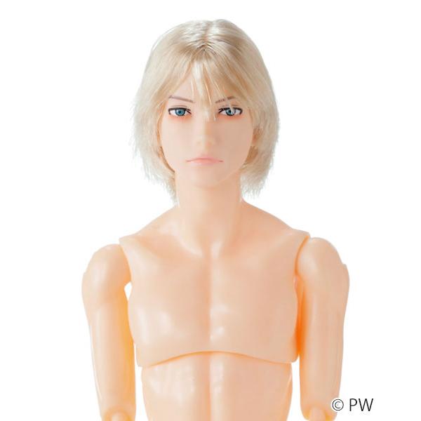 PetWORKs（ペットワークス） 六分の一男子図鑑 B2608 ナイン 完成品
