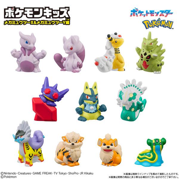 ポケモンキッズ メガミュウツーX&メガミュウツーY編【893 タケルライコ