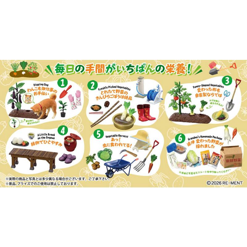 リーメント ぷちサンプルシリーズ おいしい野菜の育てかた 6個入りBOX