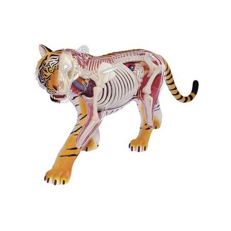 虎 模型 立体パズル 4D Vision モデル キット スカイネット｜Yahoo