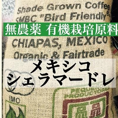 送料無料 ポイント10倍 有機栽培 メキシコ　シェラマードレ コーヒー豆 メキシコ