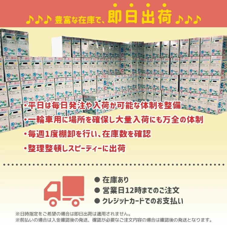 キラキラで可愛い一輪車 スケアクロウ クリスマス 新品未開封 化粧箱で発送 練習 SCW12.A/SCW14.A/SCW16.A/SCW18.A/SCW20.A ブリヂストンの画像