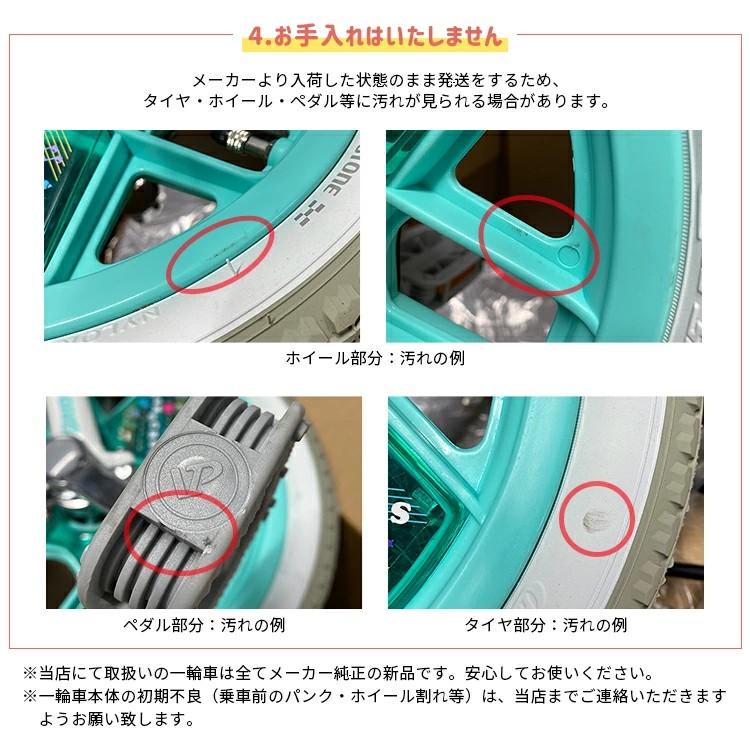 キラキラで可愛い一輪車 スケアクロウ クリスマス 新品未開封 化粧箱で発送 練習 SCW12.A/SCW14.A/SCW16.A/SCW18.A/SCW20.A ブリヂストンの画像