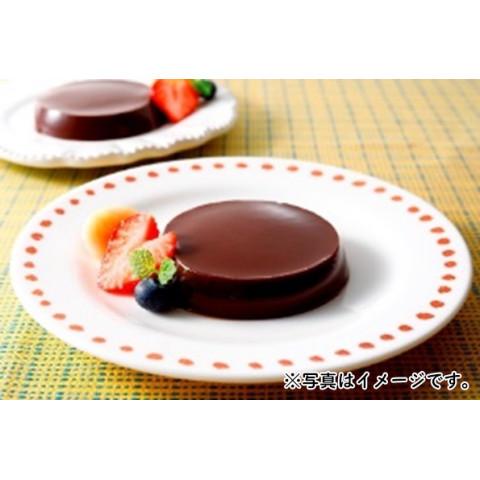 日東ベスト ベスト チョコプリン(卵乳大豆不使用) 30g×5□ : 業務用