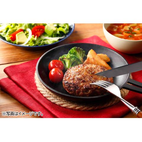 ニチレイ ブロスハンバーグ120 1200g(10個) : 業務用食品アミカYahoo