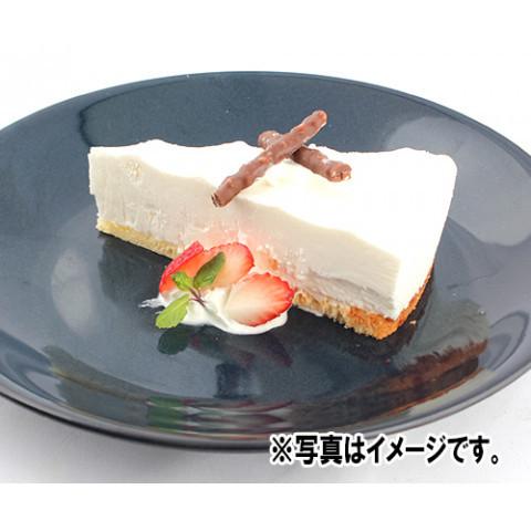 フレック チーズケーキ(レアー) 70g×6|amicashop|03
