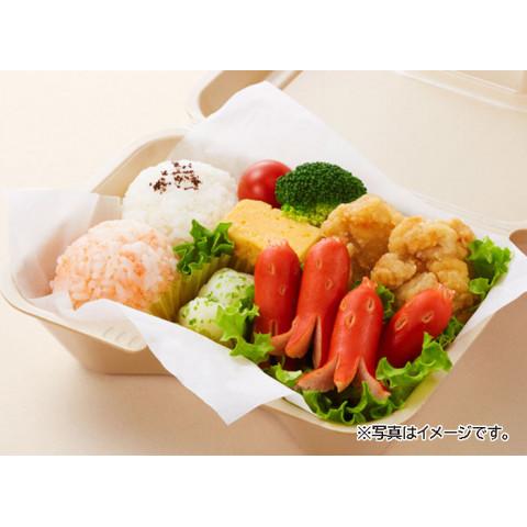 MARUHA NICHIRO マルハニチロ タコちゃんウインナーR 500g : 業務用