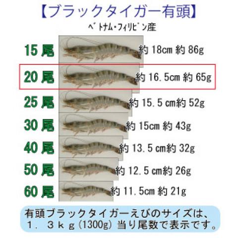 BT有頭20尾 1.3kg|amicashop|02