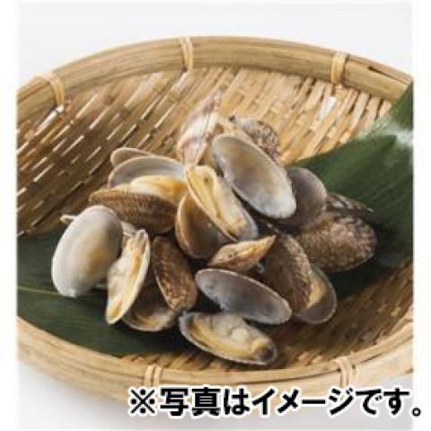 ジェフダ（JFDA） そのままOK！ボイル殻付あさり(41/50) 500g : 業務用