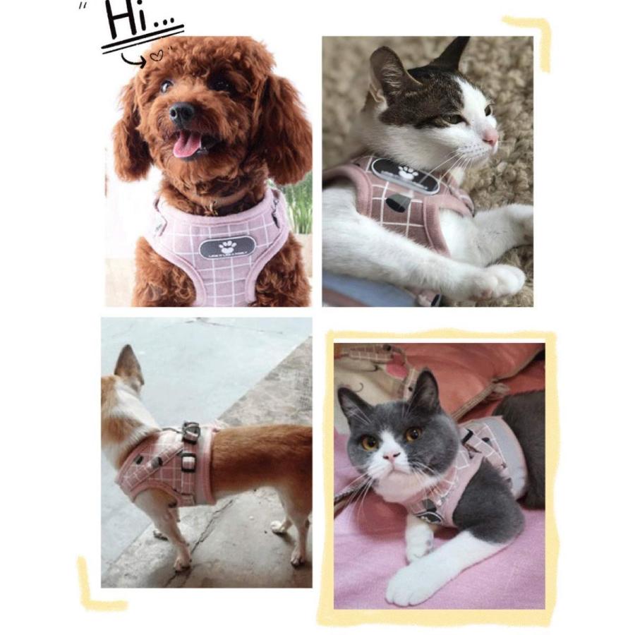 FRICH ペット用ハーネス 胴輪 リードセット反射機能付きベストエアメッシュ小型犬 超小型犬 子犬 猫 適用 |  | 09