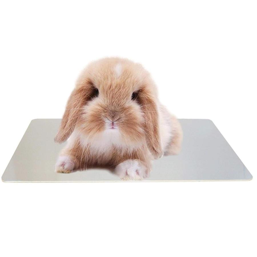 FRICH猫犬用ひんやりアルミマット40*30cmＭサイズペット涼感アルミプレートペットクールボード |  | 03