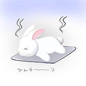 FRICH猫犬用ひんやりアルミマット40*30cmＭサイズペット涼感アルミプレートペットクールボード |  | 04