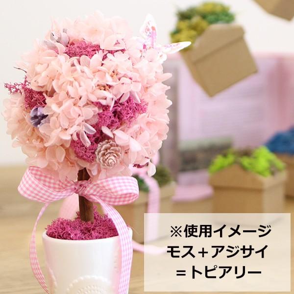 フィンランドモス オレンジ 約４０ｇ入 プリザーブドフラワー フラワーアレンジメント 花材 花資材 ナチュラル 苔 プリザーブドフラワー花材アミファ 通販 Yahoo ショッピング