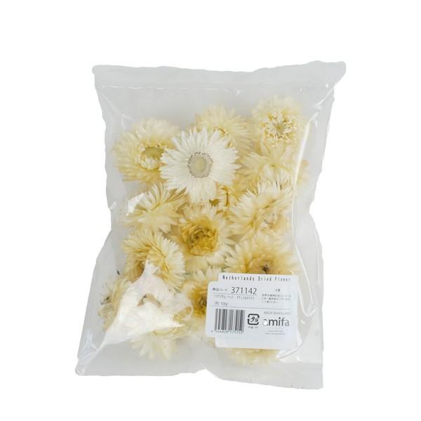 ドライフラワー フラワーアレンジメント 花材 花資材 ヘリクリサム ヘッド 約１０ｇ ナチュラルホワイト スワッグ ハーバリウム リース おすすめ