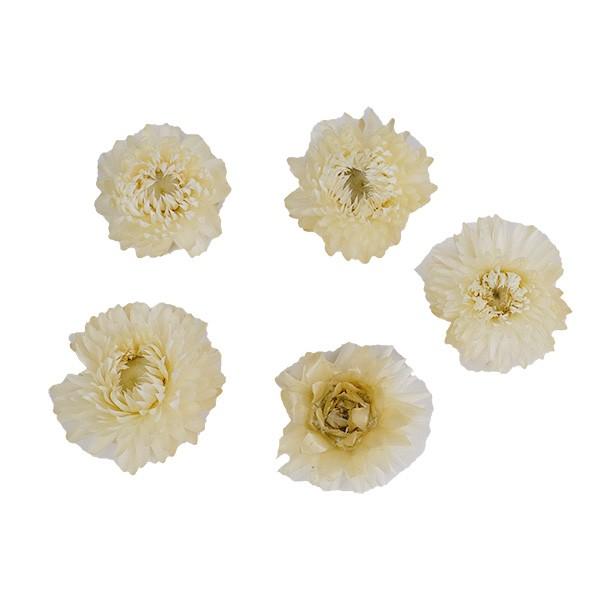 ドライフラワー フラワーアレンジメント 花材 花資材 ヘリクリサム ヘッド ナチュラルホワイト 約１０ｇ ハーバリウム リース スワッグ プリザーブドフラワー花材アミファ 通販 Yahoo ショッピング