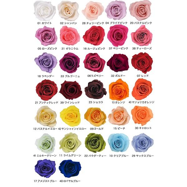 プリザーブドフラワー プロヴァンスローズ ローラ６輪 フラワーアレンジメント 花材 バラ 薔薇 母の日 プレゼント 花 7210 プリザーブドフラワー花材アミファ 通販 Yahoo ショッピング