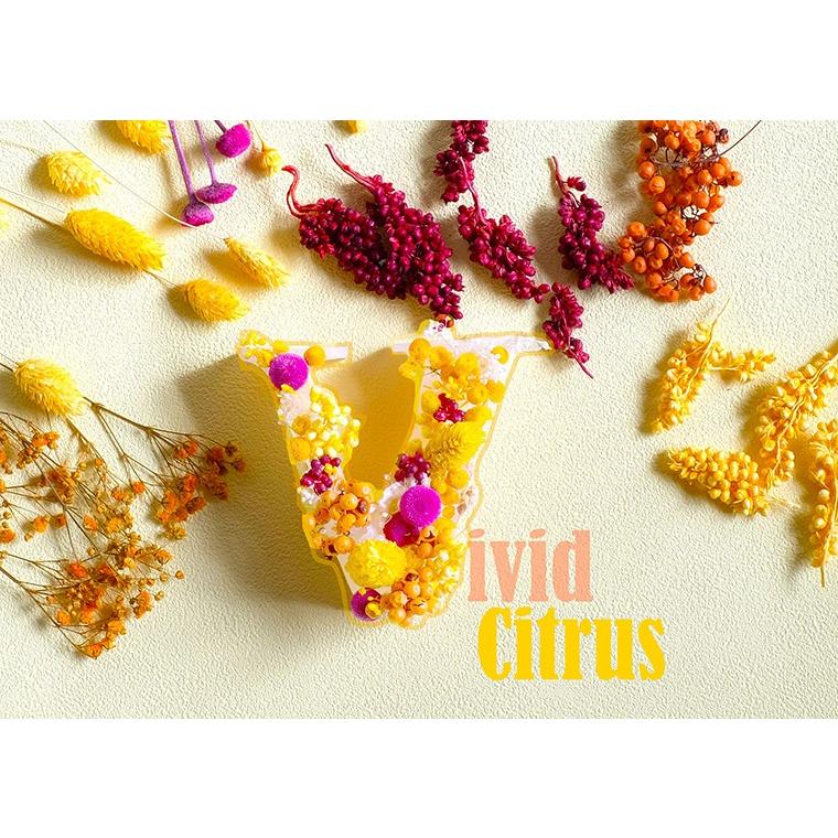 ドライフラワー フラワーアレンジメント 花材 花資材 小分け 花材 アソート ビビッドシトラス プリザーブドフラワー花材アミファ 通販 Yahoo ショッピング