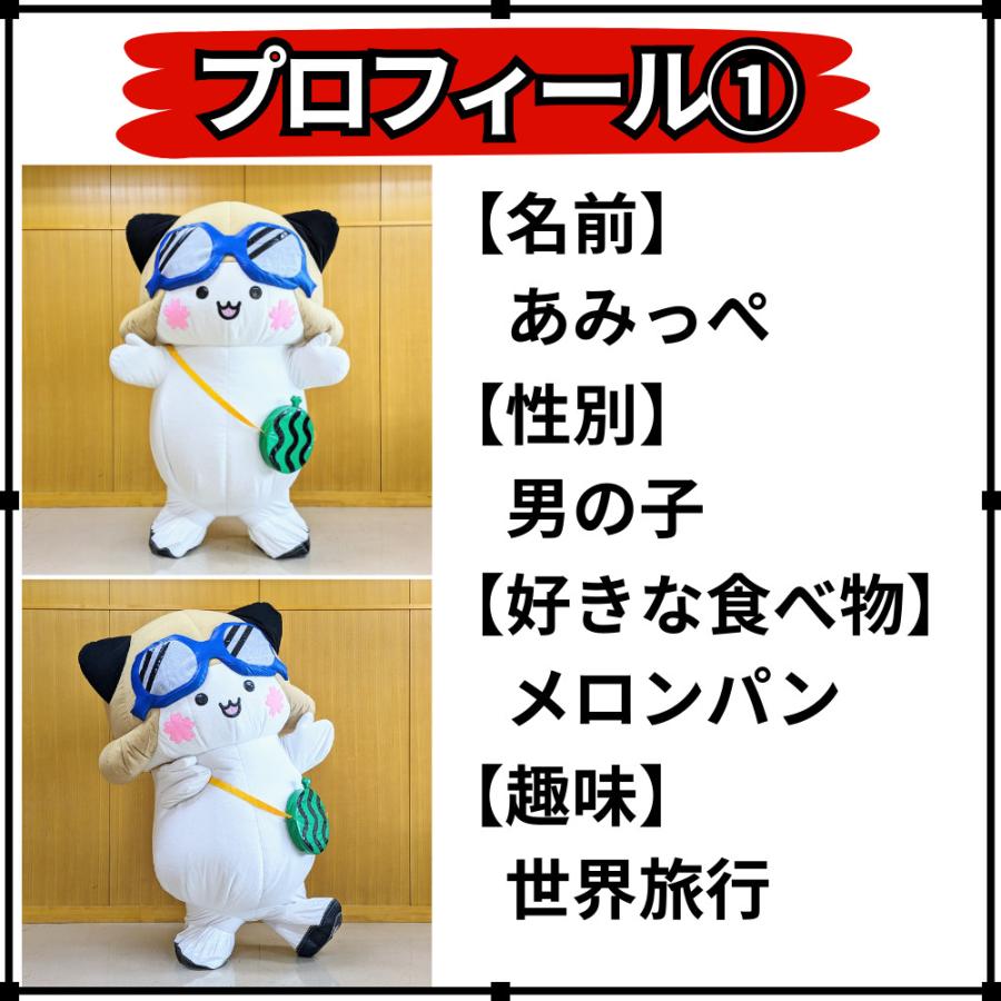 ぬいぐるみ マスコット かわいい オリジナルキャラクター あみっぺ