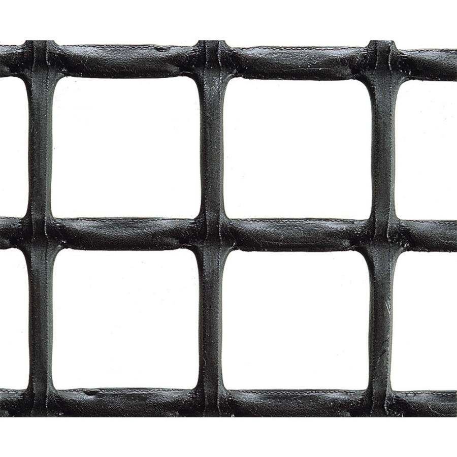 海外最新 トリカルネット Ami N 29 1240 1240 27 27 大きさ 1240mm 27m 切り売り 黒 メッシュ 金網 送料無料 Ami N 29 1240 1240 27 網メッシュ ネットyahoo 店 通販 Yahoo ショッピング 好評 Consciousdreamspublishing Com