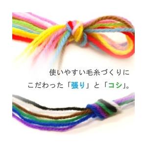毛糸 秋冬 あみもねっと アクリル並太 |  | 28