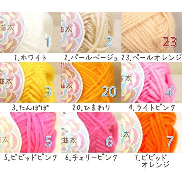 毛糸 秋冬 あみもねっと アクリル並太 |  | 23