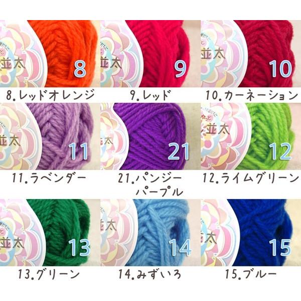 毛糸 秋冬 あみもねっと アクリル並太 |  | 24