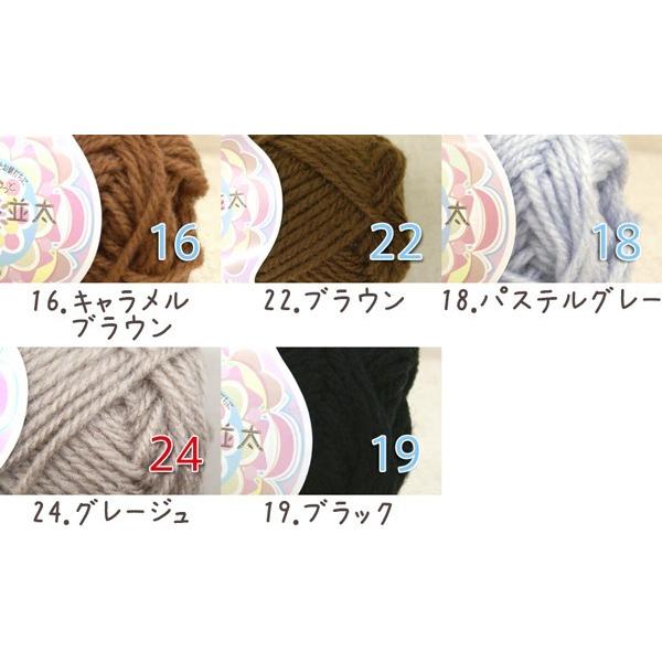 毛糸 秋冬 あみもねっと アクリル並太 |  | 25