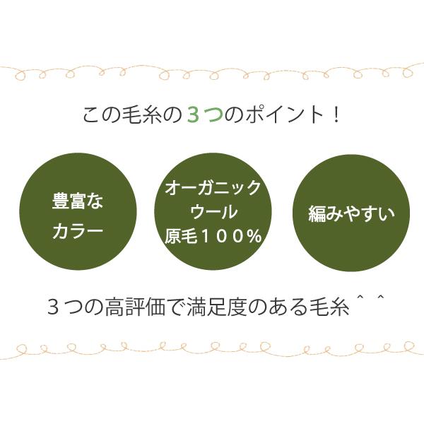 毛糸 秋冬 あみもねっと 気になるウール合太 |  | 42