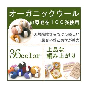 毛糸 秋冬 あみもねっと 気になるウール合太 |  | 43