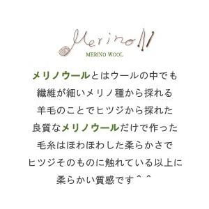 毛糸 秋冬 あみもねっと 気になるメリノ中細 |  | 30