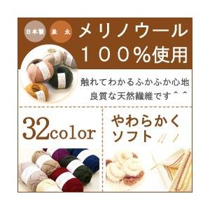 毛糸 秋冬 あみもねっと 気になるメリノ並太 |  | 38