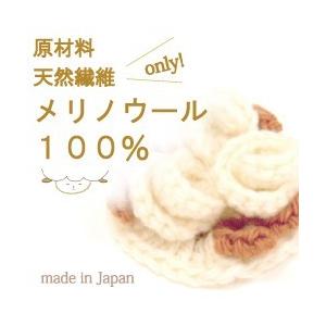 毛糸 秋冬 あみもねっと 気になるメリノ並太 |  | 39