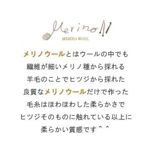 毛糸 秋冬 あみもねっと 気になるメリノ並太 |  | 40