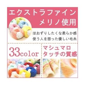 毛糸 秋冬 あみもねっと とびっきりやわらかメリノちゃん 合太 |  | 43