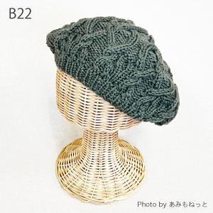 毛糸 秋冬 あみもねっと ウルグアイウール並太 |  | 39