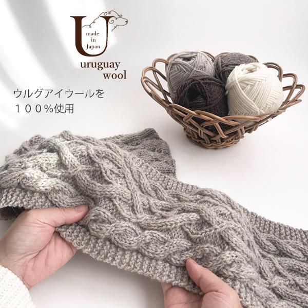 毛糸 秋冬 あみもねっと ウルグアイウール天然色 |  | 06