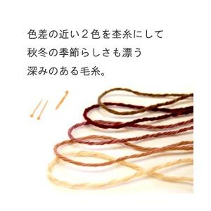 廃番 現品限り 毛糸 秋冬 あみもねっと 雪景色 並太 : あみも