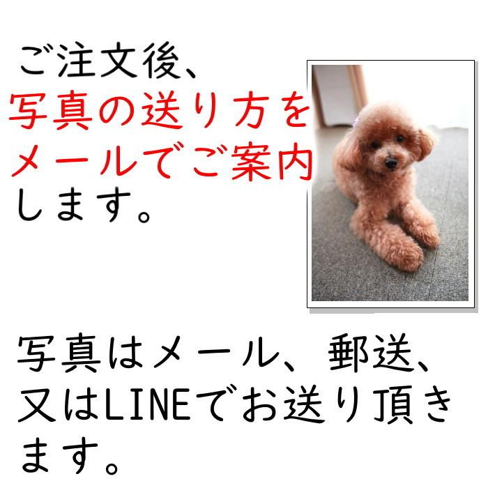ペット 写真 クッション 誕生日 プレゼント メモリアル グッズ 思い出 還暦祝い 記念品 名前入り 犬好き 猫好き オリジナル かわいい 高級感_16