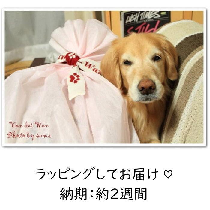 ペット 写真 クッション 誕生日 プレゼント メモリアル グッズ 思い出 還暦祝い 記念品 名前入り 犬好き 猫好き オリジナル かわいい 高級感_20