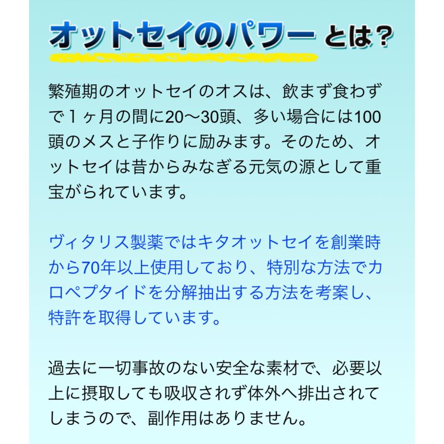 驚きの価格が実現 Ottopin 亜鉛maxドリンク Premium オットセイエキス マカ抽出液 高麗人参エキス カフェイン ガラナエキス スッポンエキス 冬虫夏草 赤マムシ粉末 不妊 妊活