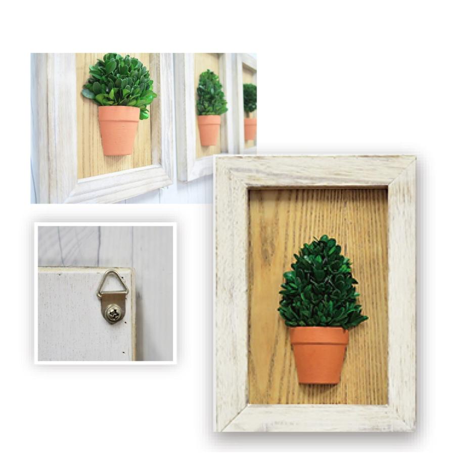 フレームトピアリーツリー グリーン フラワー プレゼント ギフト 4538353769832