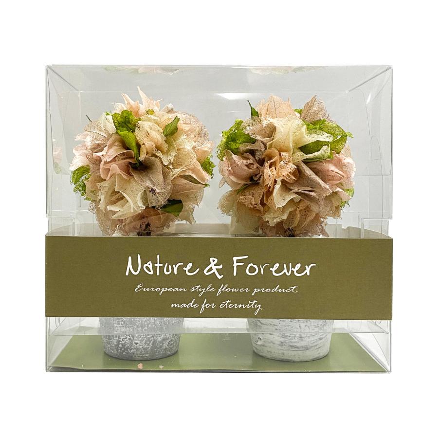 史上最も激安 フラワートピアリー2l 2個セット フラワーアレンジメント ブーケ ギフト 結婚記念日 お祝い 花束 プレゼント クリスマス 店 おしゃれ インテリア グリーン 観葉 在庫一掃 Zoetalentsolutions Com