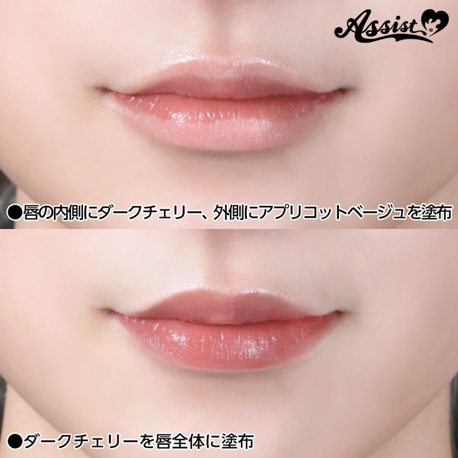 リップ マニッシュリップAS ダークチェリー 保湿成分配合 リップ