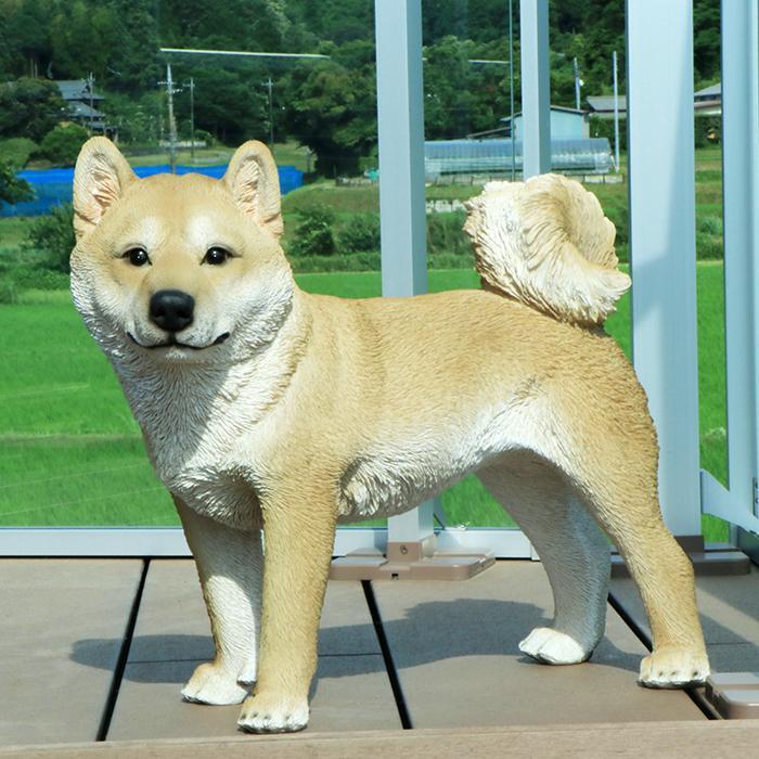 置物 犬 柴犬 玄関用 本物そっくり 実物大 リアル ドッグ オブジェ