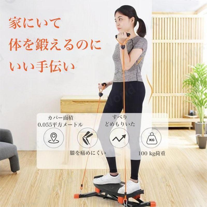 レッグトレーニング スキーマシン レッグマシン ダイエット ヒップ