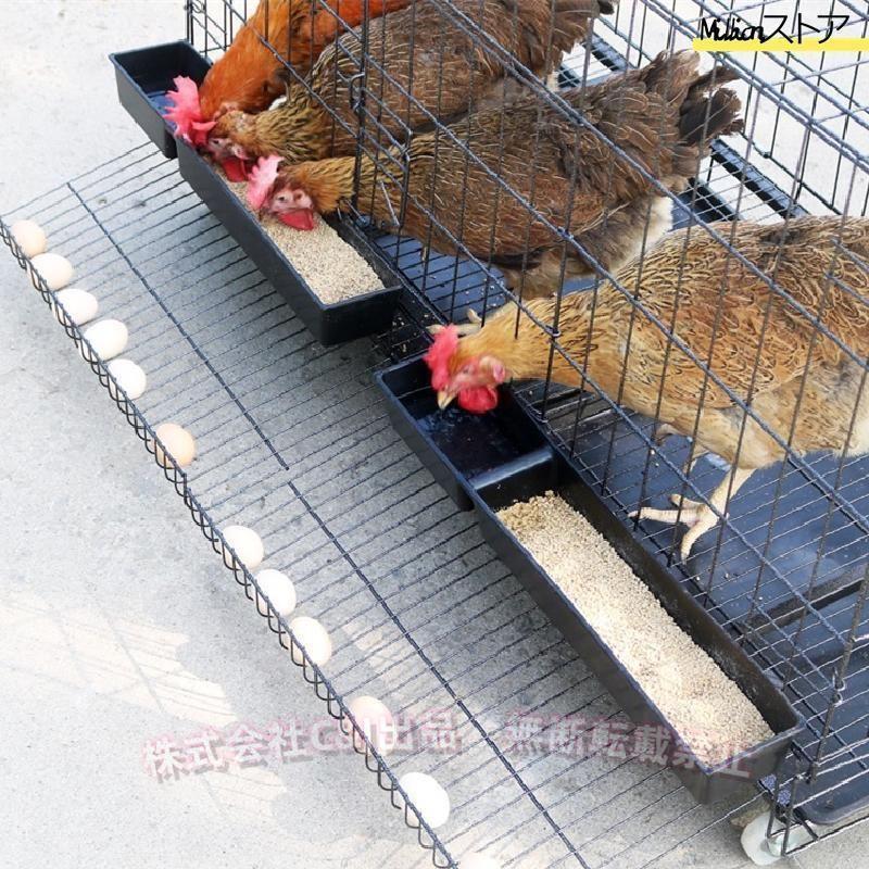 鶏小屋チキンケージ飼育ケージ特大世帯折りたたみ鶏小屋自動エッグロールケージトレー、（株）C\u0026J 水槽、フードボウル付き複数のサイズ。_3