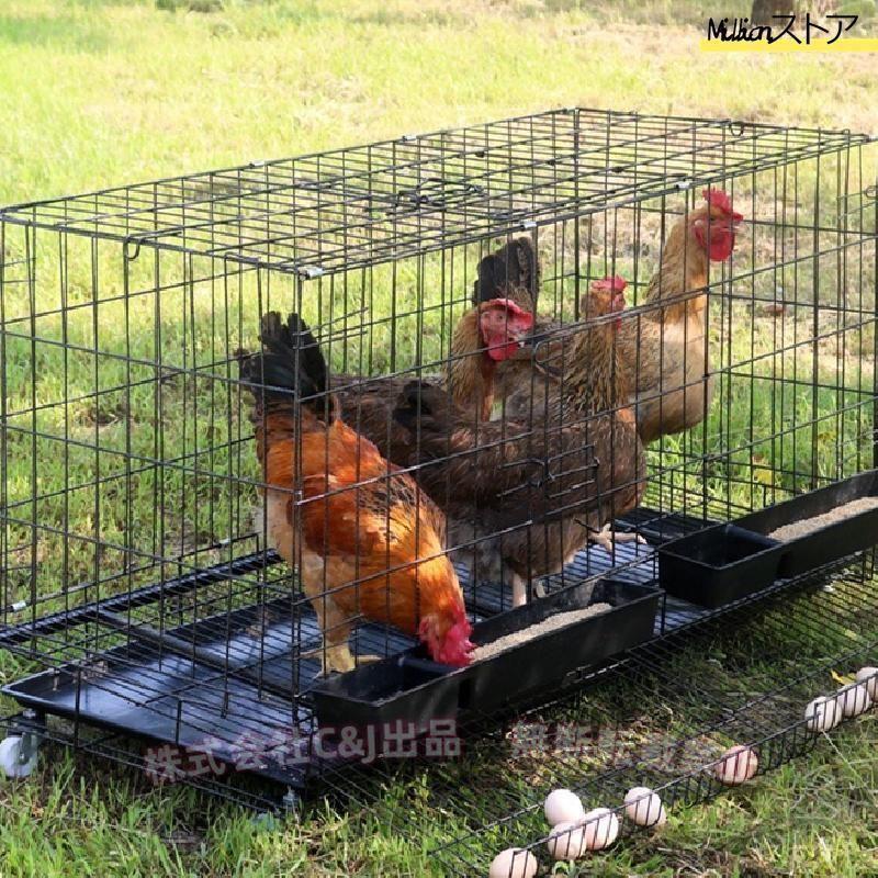 鶏小屋チキンケージ飼育ケージ特大世帯折りたたみ鶏小屋自動エッグロールケージトレー、（株）C\u0026J 水槽、フードボウル付き複数のサイズ。_6