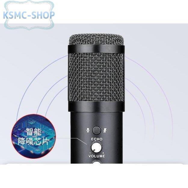 マイク 卓上マイク USBマイク コンデンサーマイク 単一指向性 高音質 PCマイク エコー調節 会議 ゲーム 在宅勤務 多機能 三脚スタンド